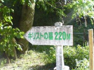Dsc00260
